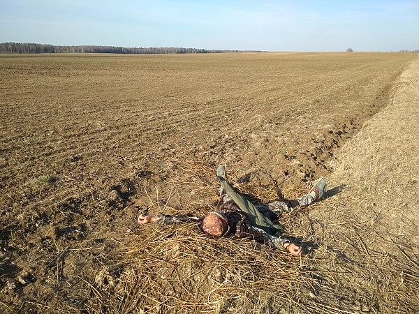 Гуси Вологодчины