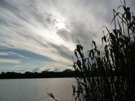 Холостой дубль