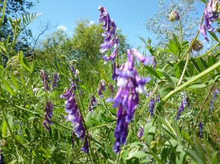 Холостой дубль