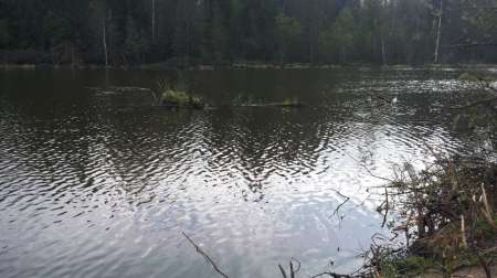 Карась на Горелом