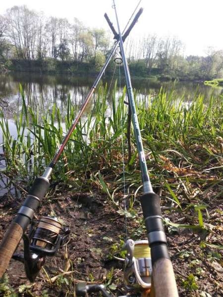 Ловля трофейного жереха на реке