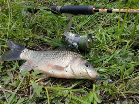 Микроджиг. На одну приманку весь день.