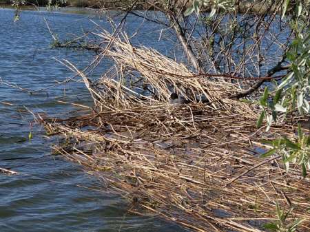 Микроджиг. На одну приманку весь день.