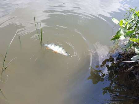 Микроджиг. На одну приманку весь день.