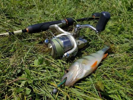 Микроджиг. На одну приманку весь день.