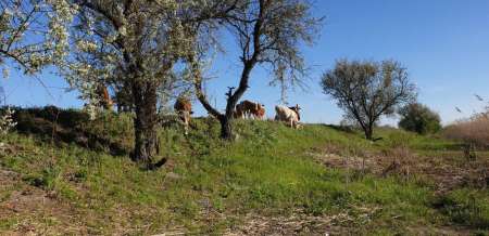 Микроджиг. На одну приманку весь день.