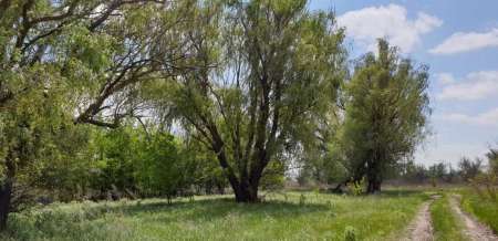 Микроджиг. На одну приманку весь день.