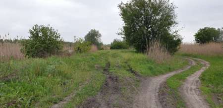 Микроджиг. На одну приманку весь день.