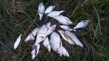 На старом добром месте На старом добром месте