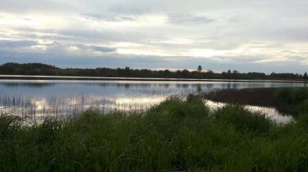 На старом добром месте На старом добром месте