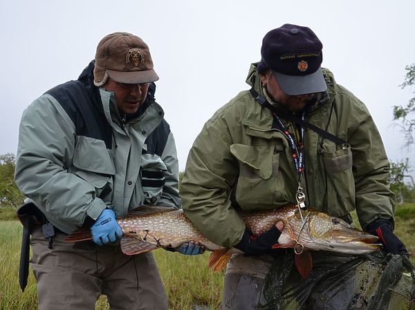Не позволяйте себя дурачить Не позволяйте себя дурачить