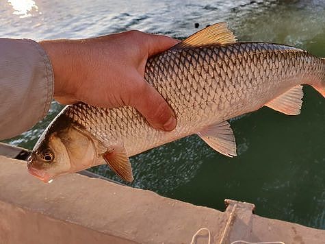 Не позволяйте себя дурачить Не позволяйте себя дурачить