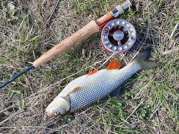 Не позволяйте себя дурачить Не позволяйте себя дурачить