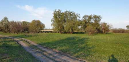 Окунь, окунь и только окунь...