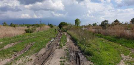 Окунь, окунь и только окунь...