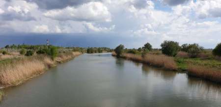 Окунь, окунь и только окунь...