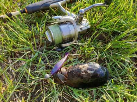 Окунь, окунь и только окунь...