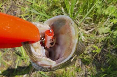 Отличный воблер на щуку летом. Топвотер (Тopwater).