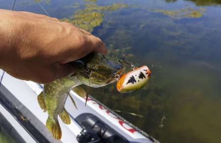 Отличный воблер на щуку летом. Топвотер (Тopwater).