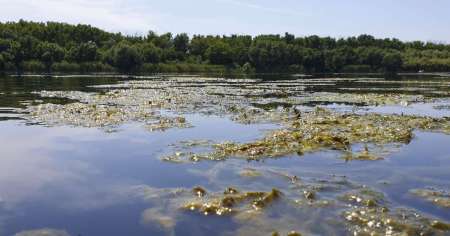 Отличный воблер на щуку летом. Топвотер (Тopwater).