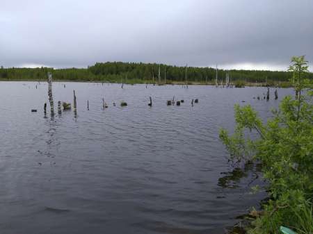 Плохая погода? Не, не слышал! В Саньково.