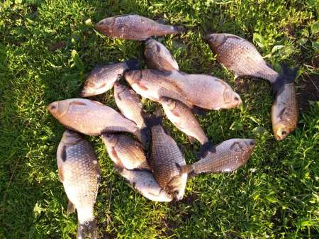 Плохая погода? Не, не слышал! В Саньково.