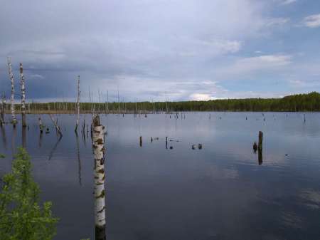 Плохая погода? Не, не слышал! В Саньково.