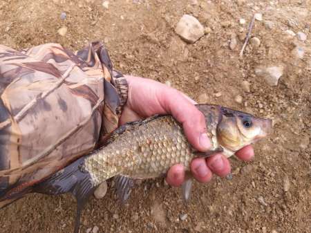 Плохая погода? Не, не слышал! В Саньково.