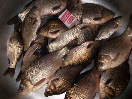 Плохая погода? Не, не слышал! В Саньково.