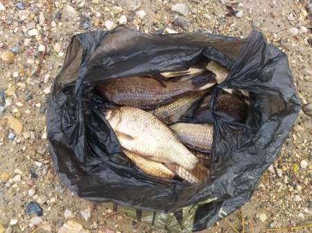 Плохая погода? Не, не слышал! В Саньково.