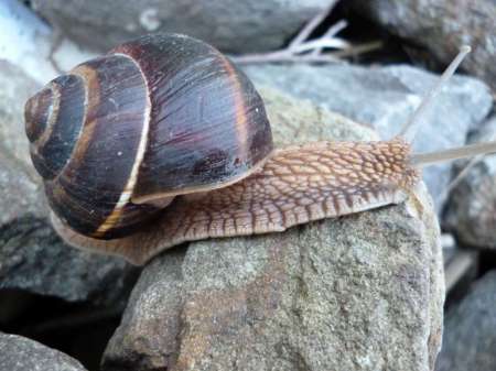 Поплавочное утро