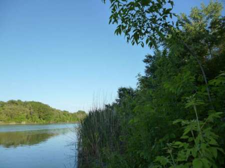 Поплавочное утро