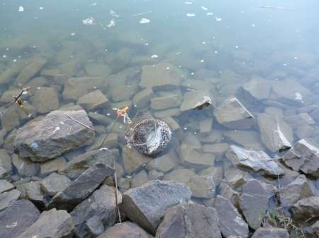 Поплавочное утро