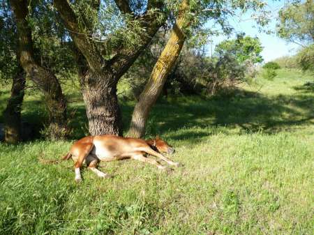 Поплавочное утро