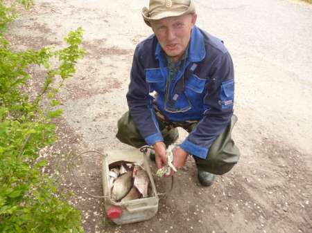 Последняя селёдка