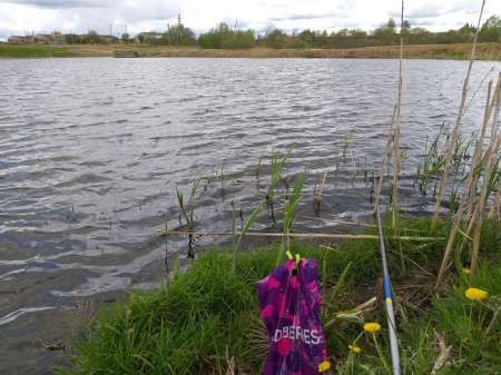 Продолжаем осваивать местный пруд