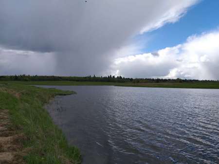 Продолжаем осваивать местный пруд