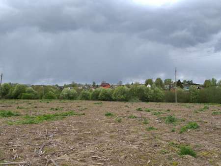 Продолжаем осваивать местный пруд