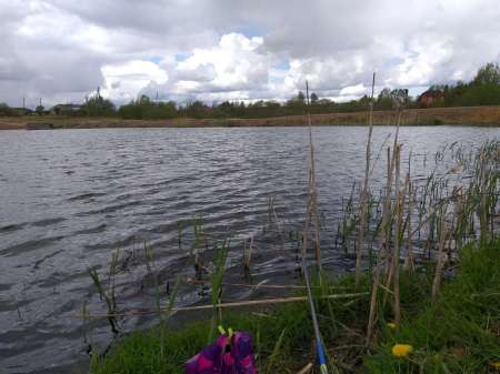 Продолжаем осваивать местный пруд