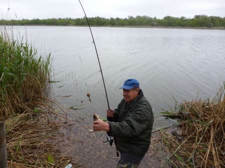 Просто здорово!