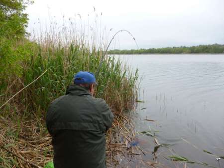 Просто здорово!