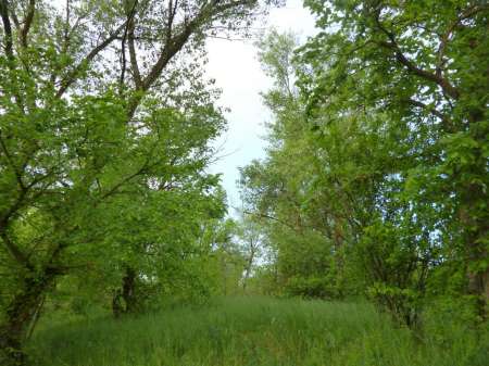 Просто здорово!