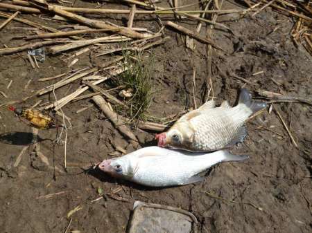 Просто здорово!