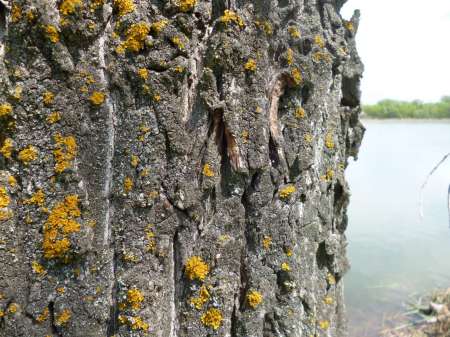 Просто здорово!