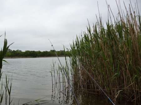 Просто здорово!