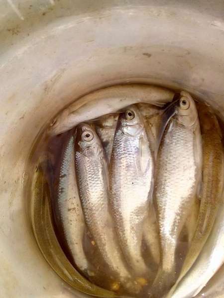 Проверка на реке Проверка на реке