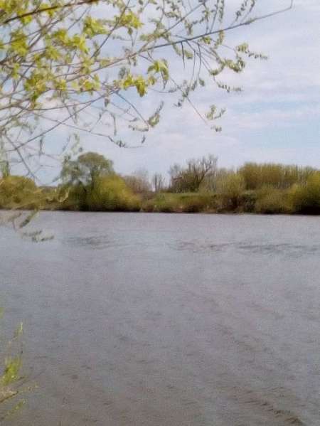 Проверка на реке Проверка на реке