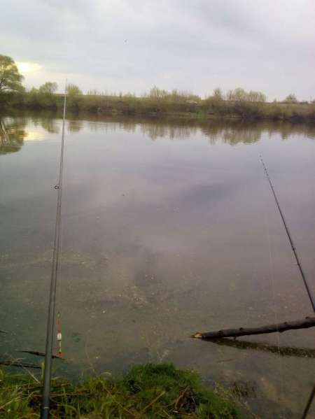 Проверка на реке Проверка на реке