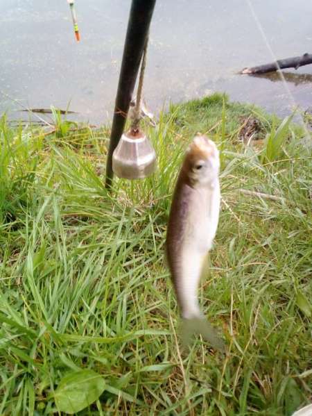 Проверка на реке Проверка на реке