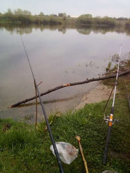 Проверка на реке Проверка на реке